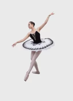 Serie of ballet tutu banner