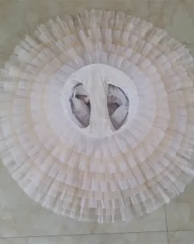 Professional Champagne Gold Ballet Yagp Stage Competition